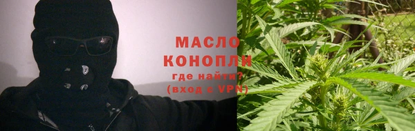 сатива Беломорск