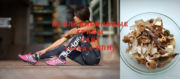 стафф Семикаракорск
