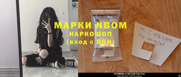 сатива Беломорск
