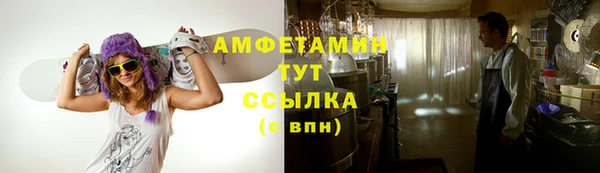 сатива Беломорск