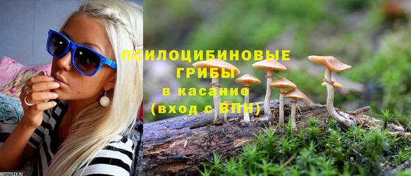 сатива Беломорск