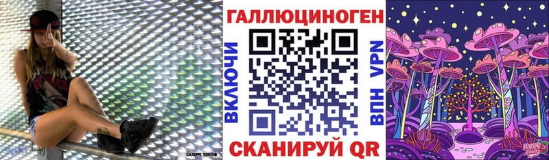 где можно купить   Мосальск  mega онион  Псилоцибиновые грибы мицелий 